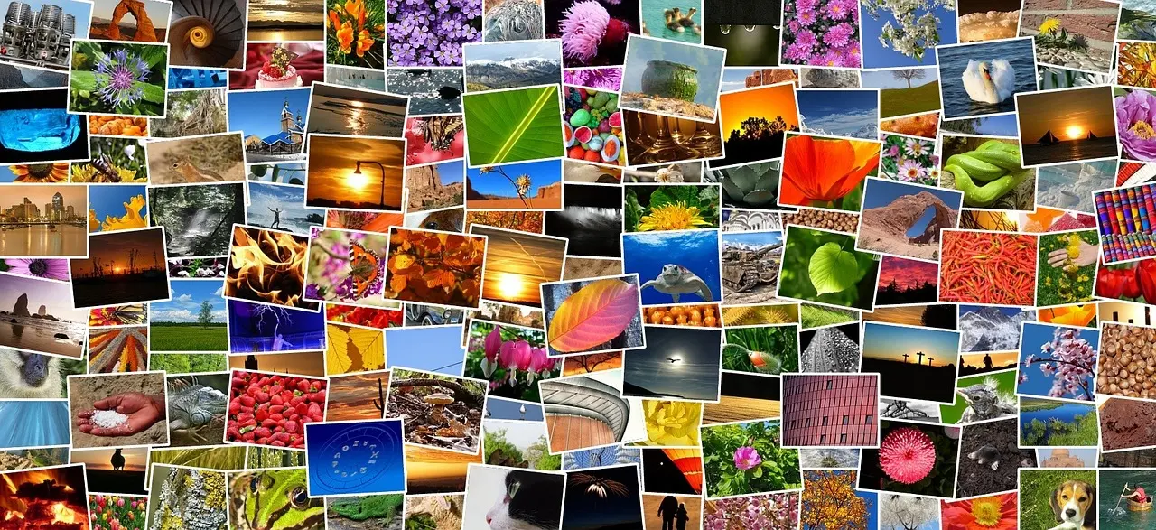 Images de haute qualité : l’impact visuel