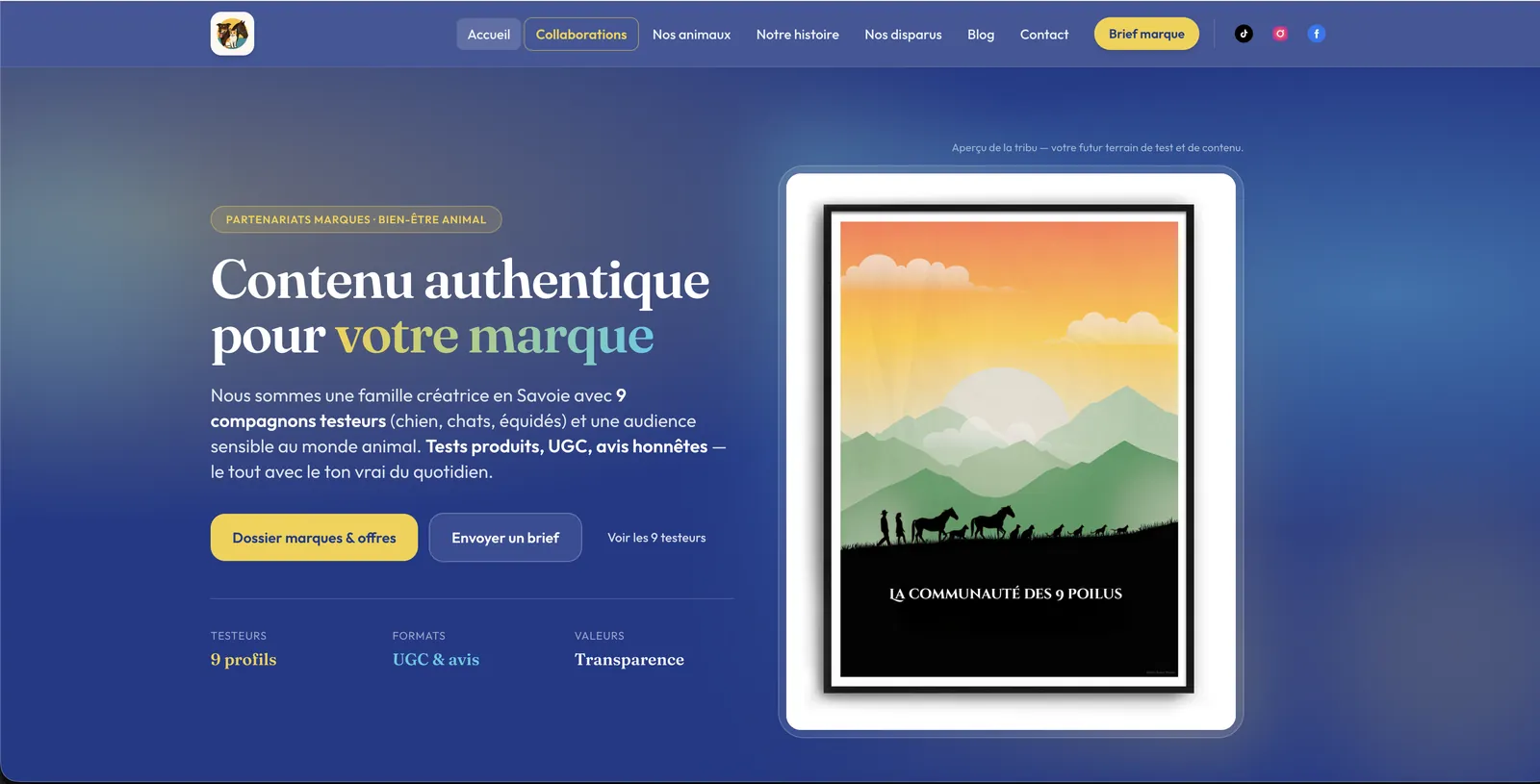 Aperçu du site Les 9 Poilus