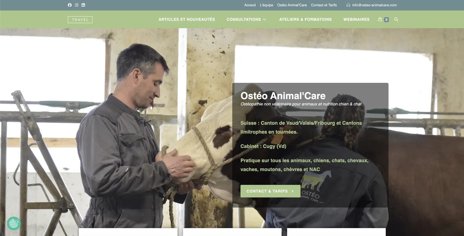 Aperçu du site Ostéo Animal Care